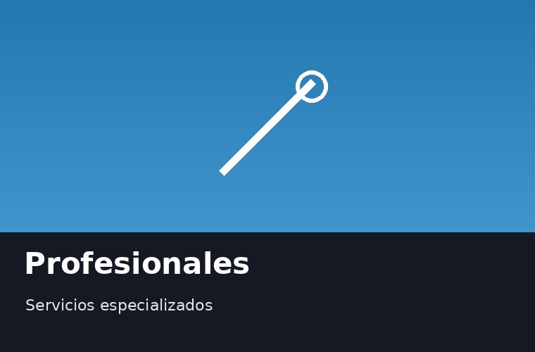 Profesionales