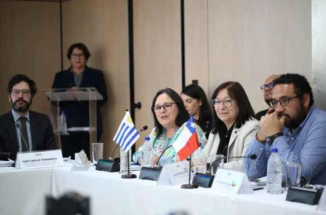 Subsecretaria Gabriela Verde participó en la 67.ª Reunión de Ministros de Educación del Mercosur en Brasilia