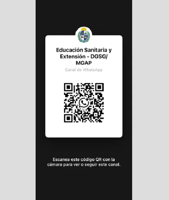 MGAP lanza canal de WhatsApp “Educación Sanitaria y Extensión” para fortalecer la comunicación con el sector ganadero
