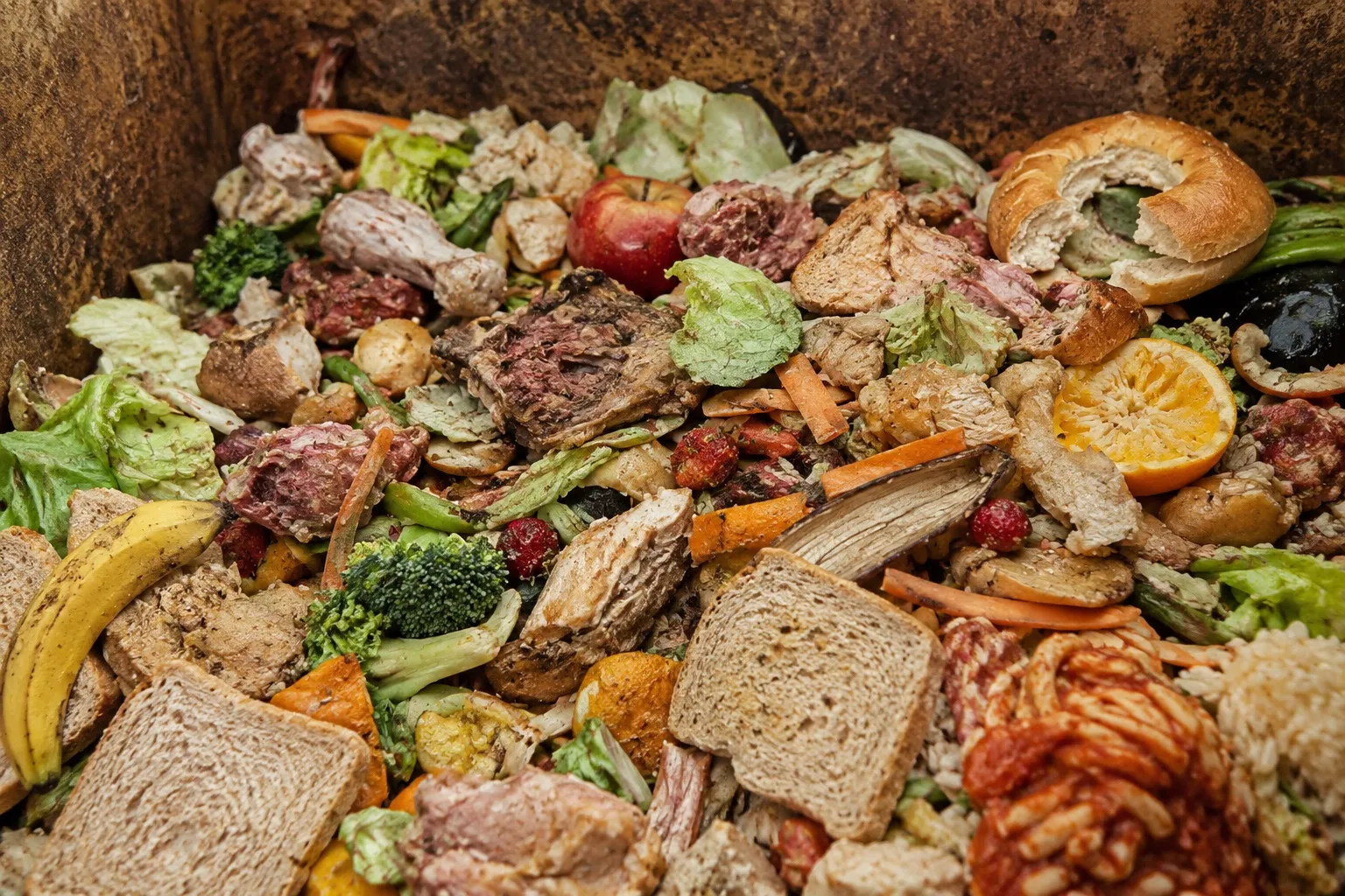 Registro de Donación de Alimentos