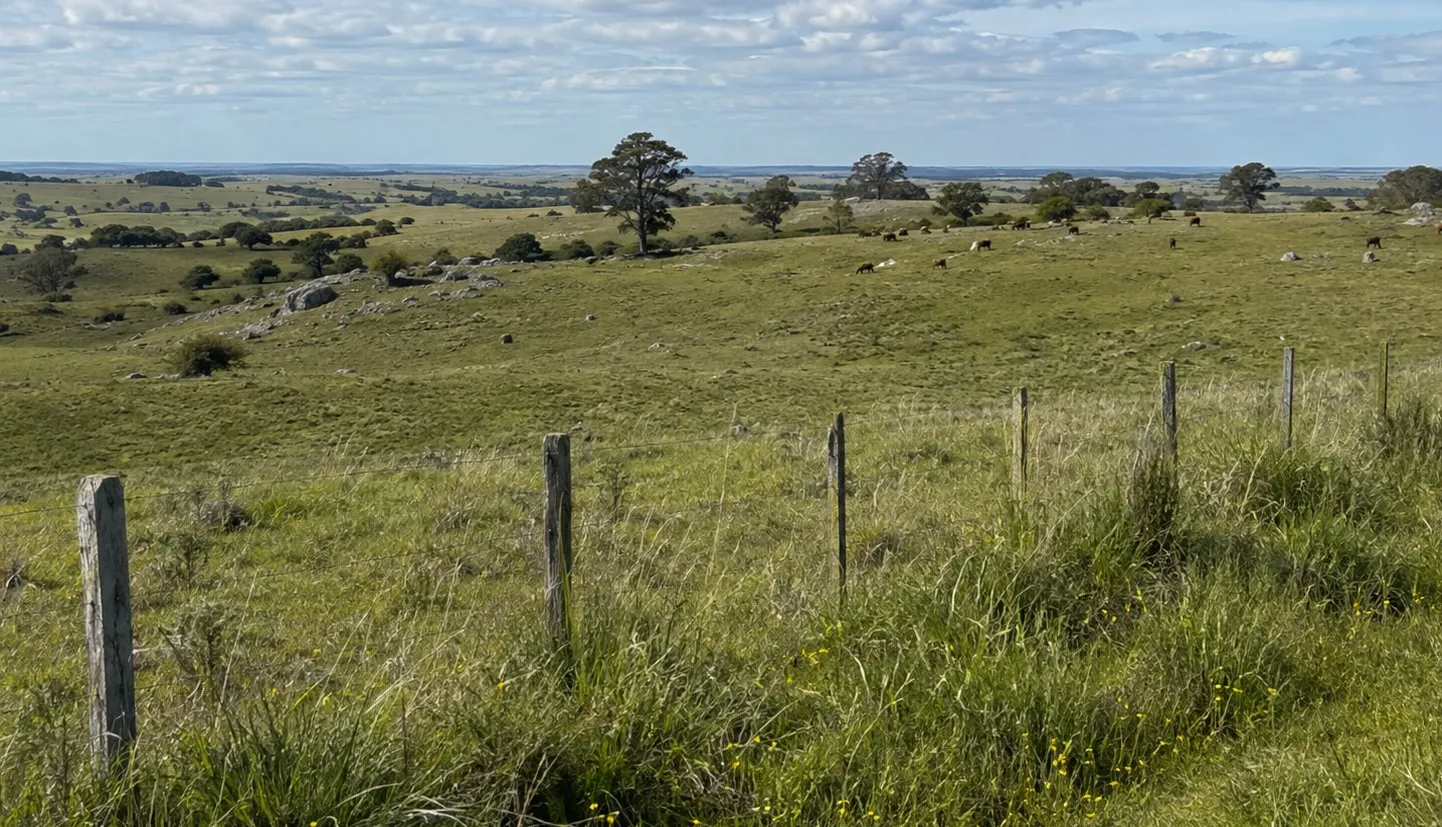 Uruguay destaca el valor de los pastizales y su importancia ambiental