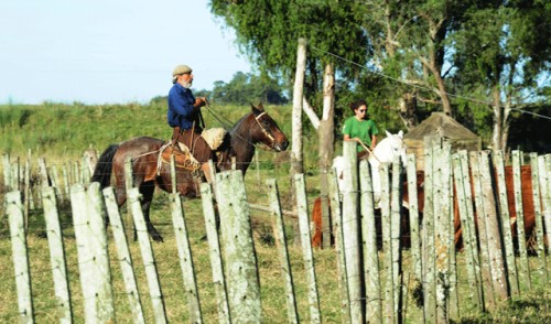Colonización otorga en arrendamiento 3.000 hectáreas en Rocha 
