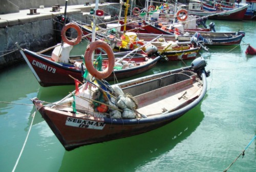 Devolución de impuesto al combustible para pescadores artesanales-trimestre octubre-diciembre 2019