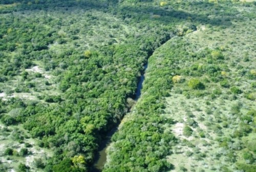 Área de manejo de hábitats y/o especies Esteros y Algarrobales del Río Uruguay (Río Negro)