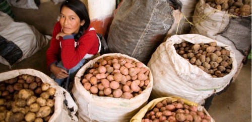 Cinco razones por las que el FIDA está poniendo a los pequeños agricultores a la vanguardia de la transformación de los sistemas alimentarios