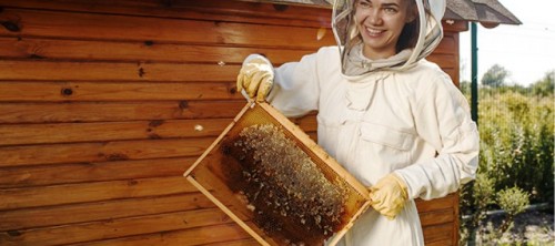 La UNESCO y Guerlain empoderan a las mujeres y apoyan la biodiversidad a través del programa Women for Bees bajo la égida de Angelina Jolie