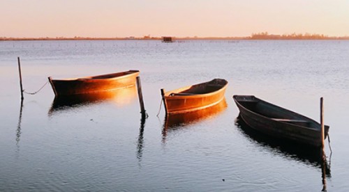 Importantes pasos en Uruguay para concretar el proyecto de gestión conjunta de la cuenca de la Laguna Merín con Brasil