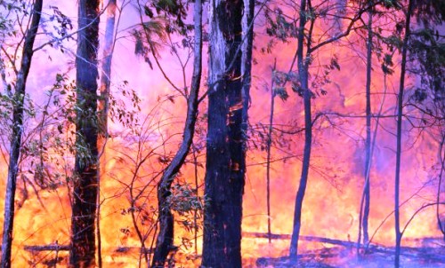 Situación incendios forestales al 31 de diciembre hora 20