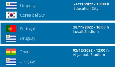 Selección Uruguaya de Fútbol, Información Actualizada