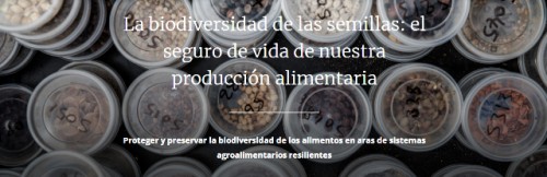 La biodiversidad de las semillas: el seguro de vida de nuestra producción alimentaria