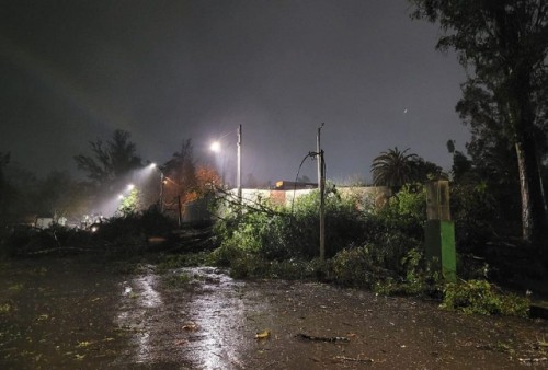 Voladuras de techos y caídas de árboles tras el temporal en Cerro Largo y Tacuarembó