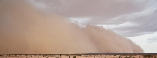 Las tormentas de arena causan peores estragos en las comunidades desérticas debido al cambio climático