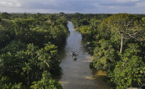 Los presidentes de la Amazonia se reúnen en Brasil para detener la devastación de la selva
